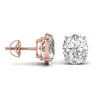 2.5 Carat Oval Shape Solitaire Studs