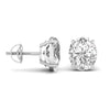 2.5 Carat Oval Shape Solitaire Studs