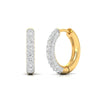 Round cut Diamonds Clustered Elegance Earrings